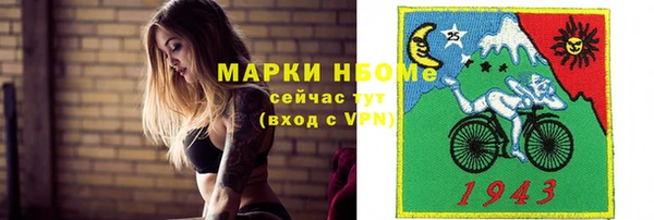 гашик Зуевка