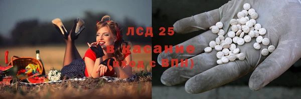 apvp Сосновый Бор