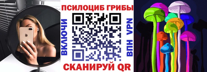 Купить закладки  Ишим  Псилоцибиновые грибы мицелий 